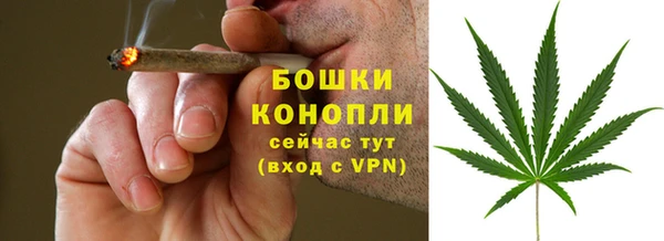молекула духа Богородицк