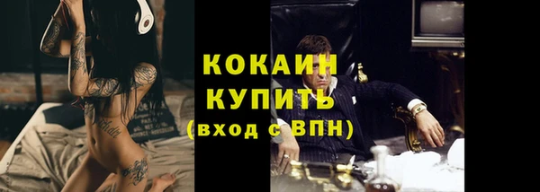 эйфоретик Богданович