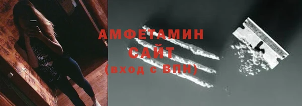молекула духа Богородицк