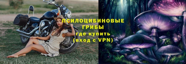 амф Богородск