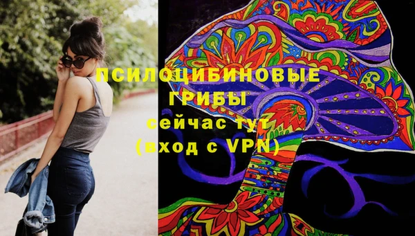 молекула духа Богородицк
