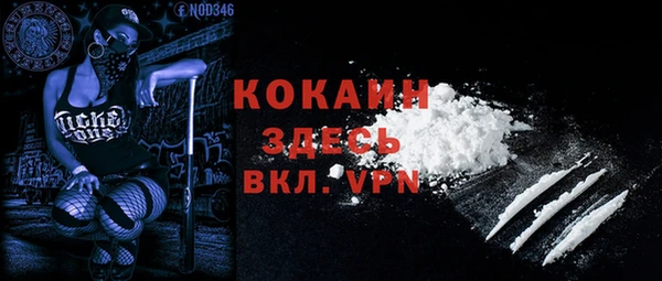 эйфоретик Богданович