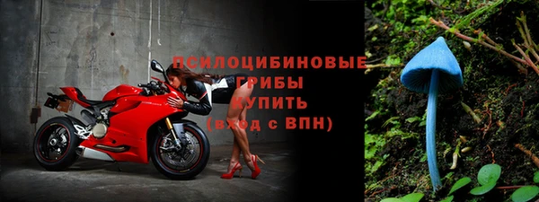 амф Богородск