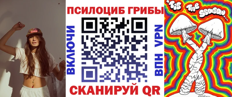 Псилоцибиновые грибы Cubensis  это клад  Жуков 